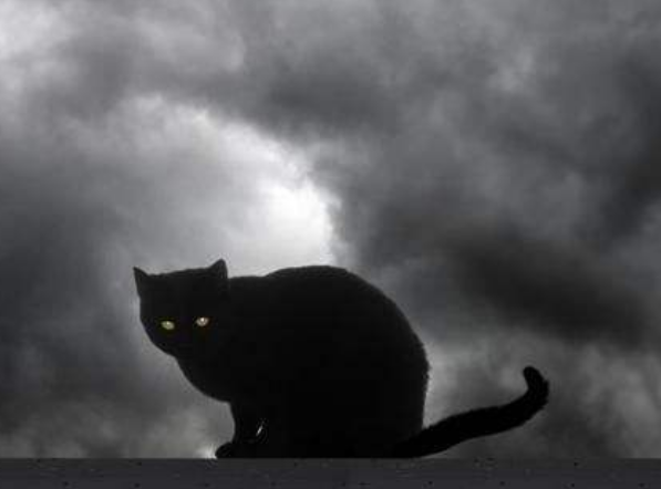 极具恐怖萧陌什么身份，极具恐怖萧陌的能力（5本高收藏悬疑小说）