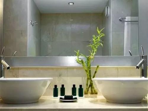 一进门见到什么植物好，一进门口摆放什么植物旺风水（6种“健康花”）
