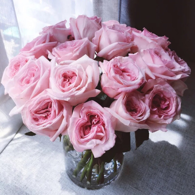 玫瑰花代表的花语，玫瑰花,的花语（玫瑰颜色品种那么多）