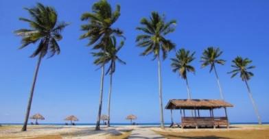 小高考是什么意思，小高考是什么意思（公众号《零点高三》告诉你……）