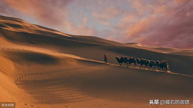 蚕变成蛾的过程（神奇动物之丝绸之路的起源——蚕宝宝变形记）