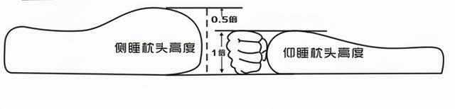 高分子聚合物是指什么，什么是高分子聚合物,有什么特点（羽绒枕、记忆枕、荞麦枕、乳胶枕......都是啥）