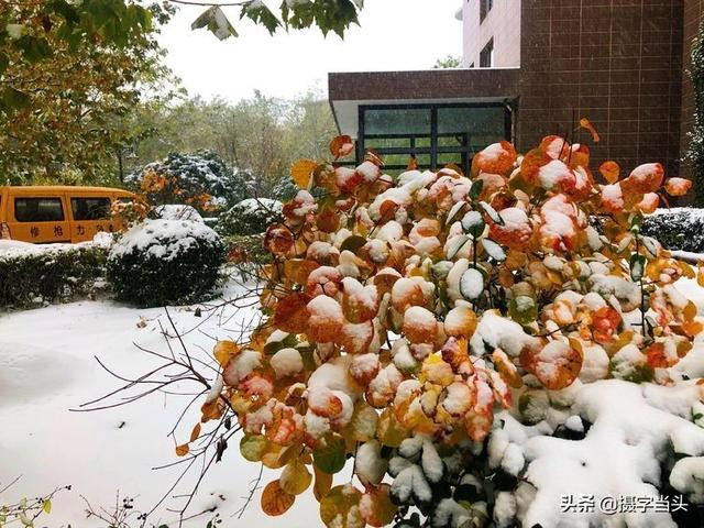 情侣唯美雪景图片，情侣唯美雪景图片真实（冬日初雪印象：一半冬雪）