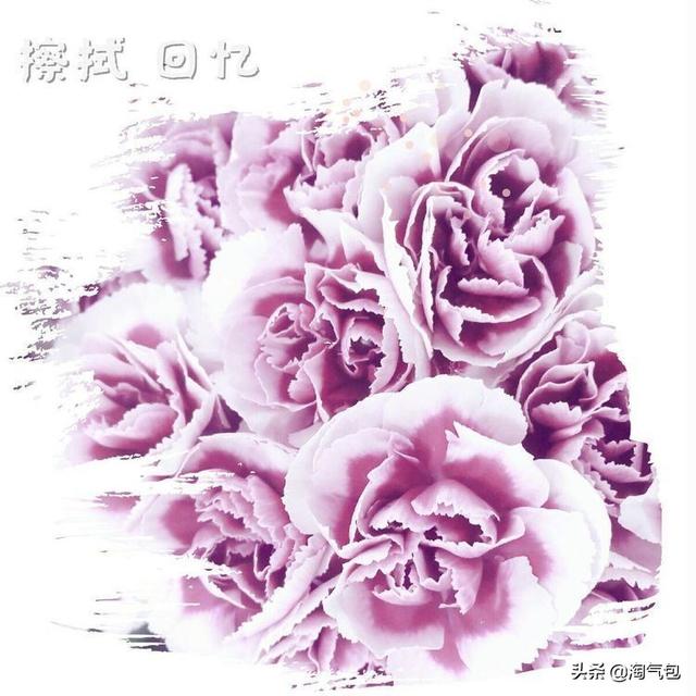 12个月都有什么情人节，二月没过情人节的今天补上