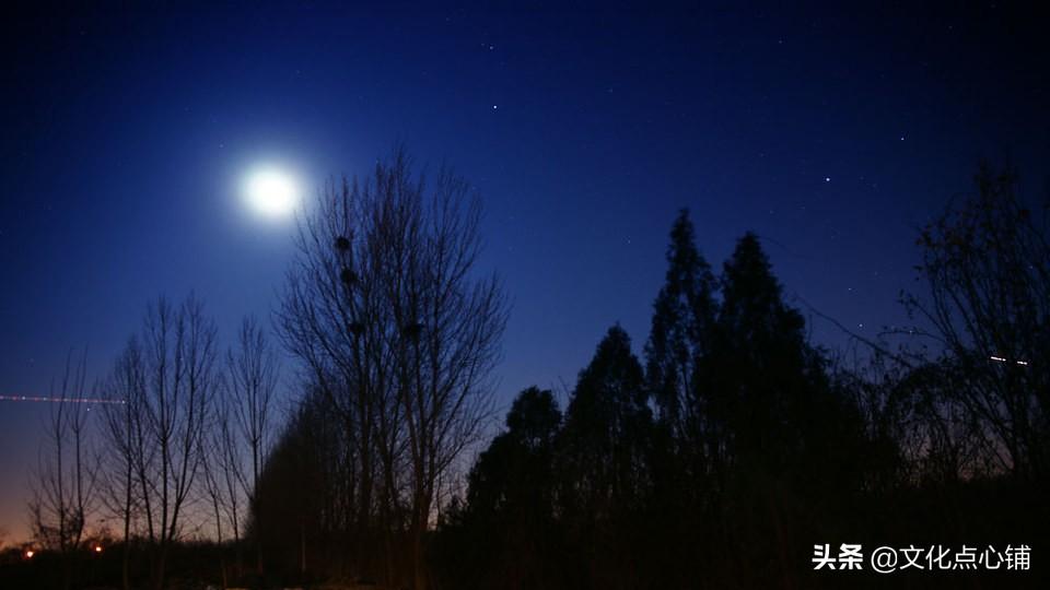 寒日孤独的诗句，《全唐诗》最孤独的冬夜