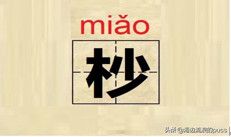 棒读是什么意思(捧读什么意思网络语言)