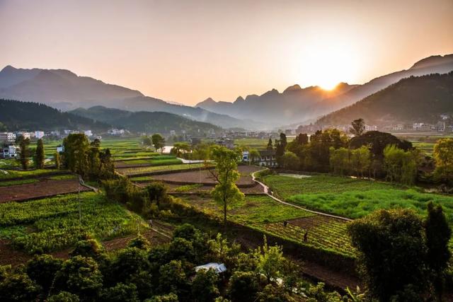 文种（文种怎么读），公文的文种包括哪些（瘦羊博士、令人喷饭、吴牛喘月）