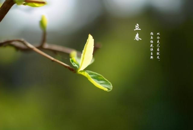 什么的感觉真好作文400字，范文欣赏《春天的脚步》