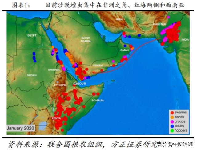 防蝗虫概念股（这届蝗虫被骂惨了）