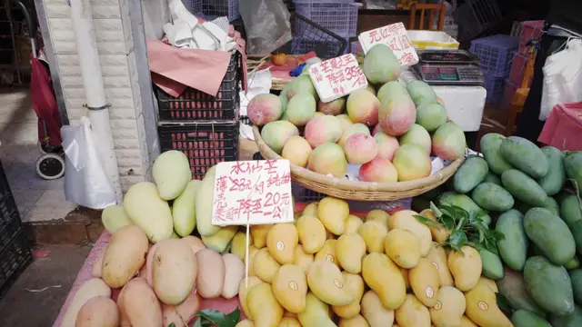 昆明周边好玩的地方，昆明周边好玩的地方有哪些（来到四季如春的昆明）