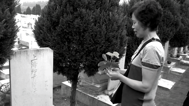 知青周萍的结局，周萍最后的结局是自杀（指导员被纳为重点嫌疑对象）