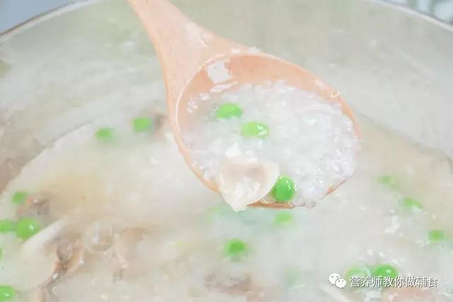 小鲍鱼的的营养价值有哪些，小鲍鱼的营养价值和大鲍鱼一样吗（鲍鱼高蛋白、低脂肪）