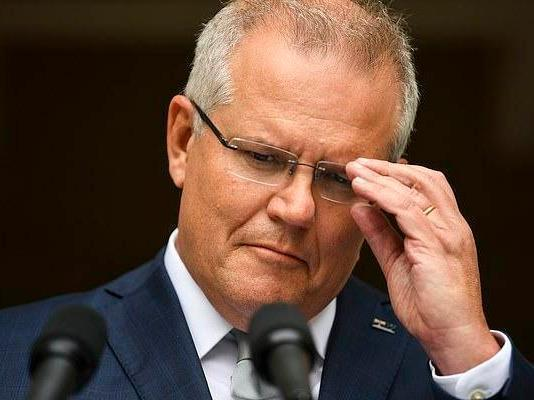 焗皇帝蟹的做法窍门，帝王蟹如何蒸（澳洲疫情观察：相比病毒）