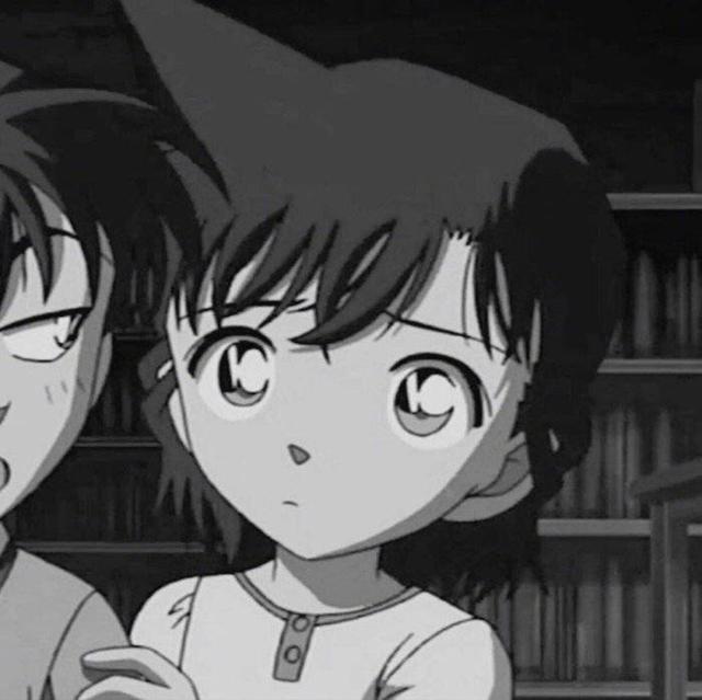 高清新兰图片，新兰图片大全（『情侣头像』新兰cp）