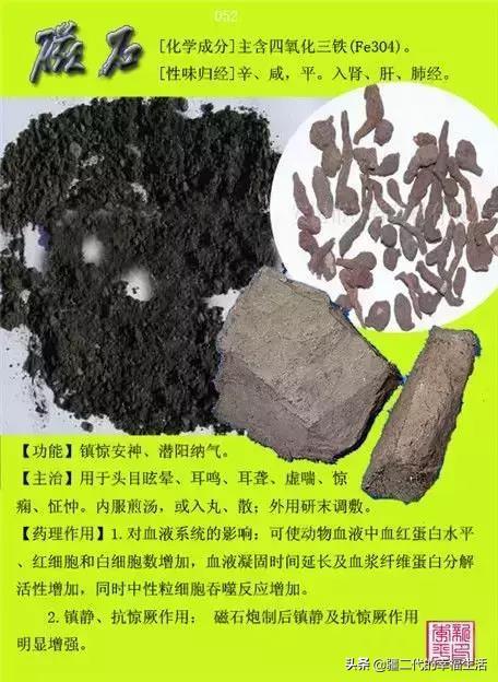 常见中草药图谱，中草药经典图谱（让你知道常用药都长啥样）