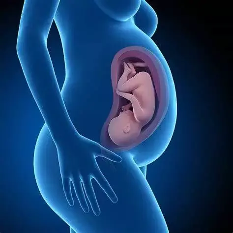 怀孕胎位不正原因，头胎胎位不正的原因（可能和准妈妈的体质有关系）