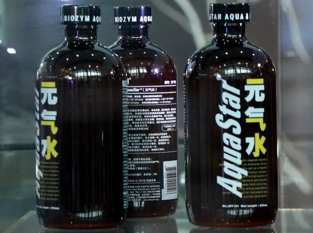 元气水是什么意思，什么叫元气水（元气水是什么神奇宝贝）
