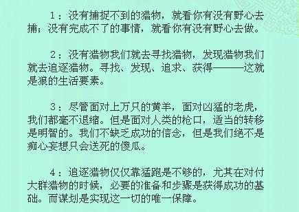 狼性团队精神感悟，狼性团队精神感悟口号（要想干成事情就得学一下狼）