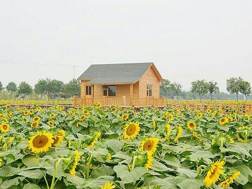兰陵国家农业公园，兰陵国家农业公园游玩攻略（兰陵国家农业公园门票多少钱）
