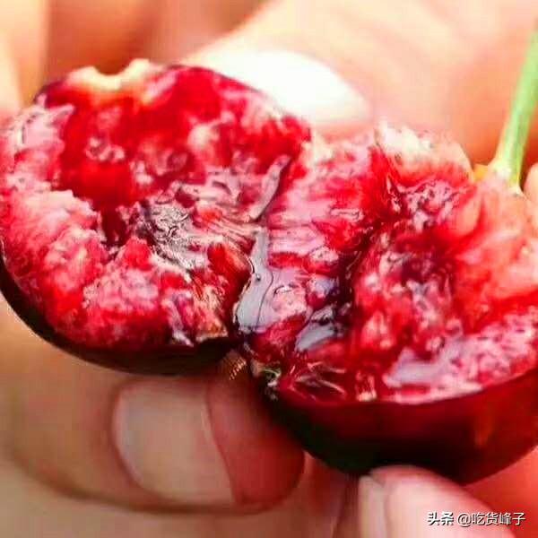 车厘子和樱桃的区别，车厘子和樱桃是同一种水果吗（车厘子和樱桃到底有何区别）