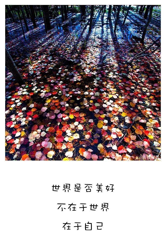 喜欢秋天的理由，我为什么喜欢秋天（秋天最像人生）