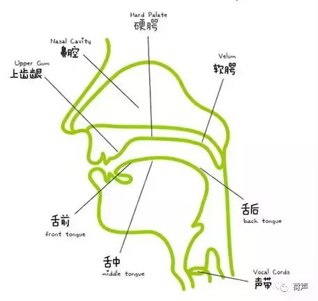 平翘舌不分怎么办，普通话平翘舌音不分怎么办（如何训练平翘舌读音）