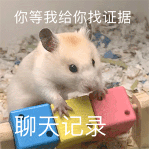 聊天必备表情包'，微信头像，聊天必备表情包'（17个抖音近期热门表情包）