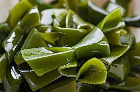 生日当天放生的好处，生日放生有什么讲究吗（今天是传说中最神奇的日子）