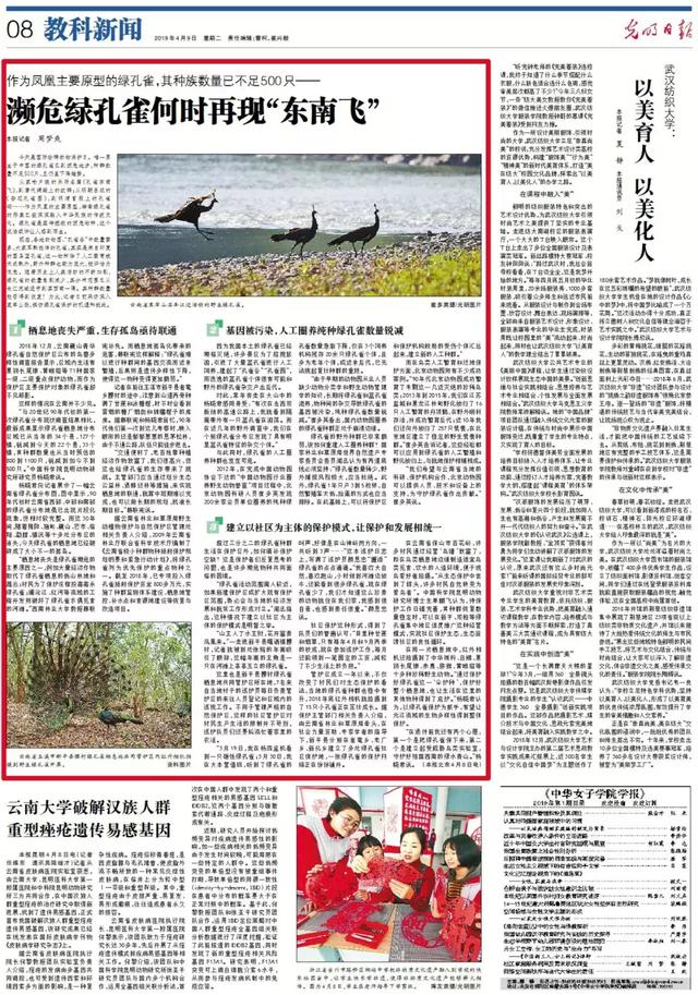 印度的国鸟是什么，印度的国鸟是什么鸟（它是凤凰的原型，如今濒临灭绝）