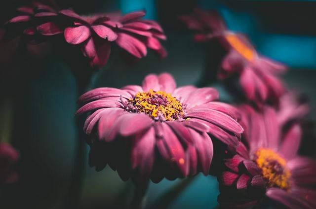 相见恨晚下一句怎么接，相见恨晚下一句是什么（其实都是恰逢其时）