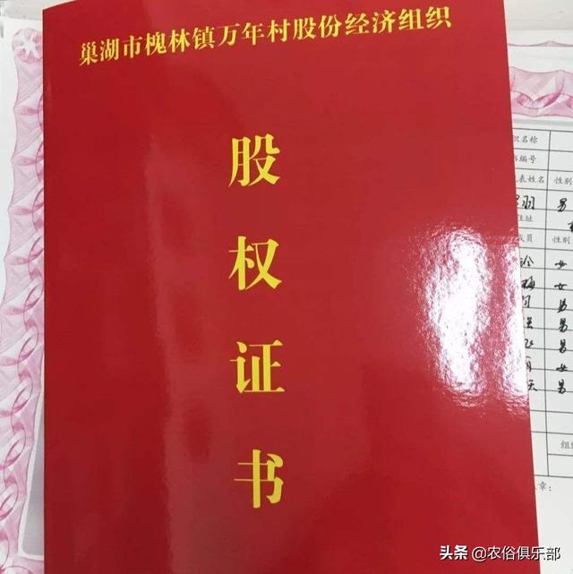 农村集体经济组织股权证什么意思，农村集体股权证是什么意思（农村集体经济组织股权证是什么）