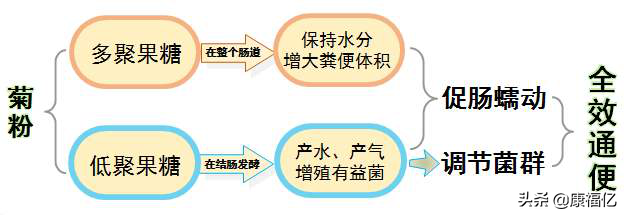 什么是菊粉，康福亿健康小知识：菊粉是什么