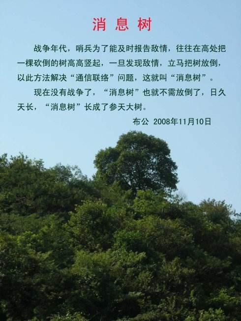 古代五种通信方式，古代五种通信方式有哪些（从古到今通信方式一览）