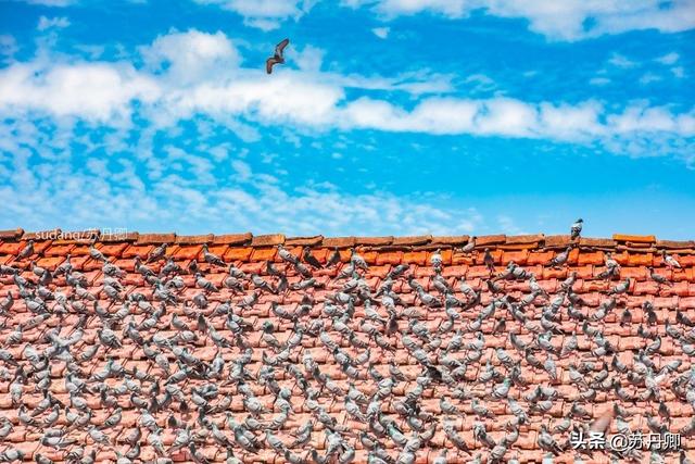 尼泊尔在哪，尼泊尔靠近中国哪个城市（尼泊尔那么穷，为何幸福指数高）