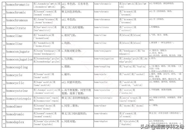 国民homo什么意思，homolive什么梗（总结了367个以hyper、240个以hypo前缀、106个以homo前缀的单词）