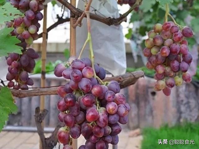 降低胆固醇的水果，这8种水果对降低胆固醇有帮助（这6种时令水果要多吃）