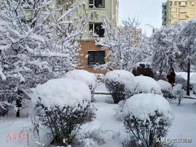 白雪却嫌春色晚，白雪却嫌春色晚下一句是什么（白雪却嫌春色晚,下一句是什么）