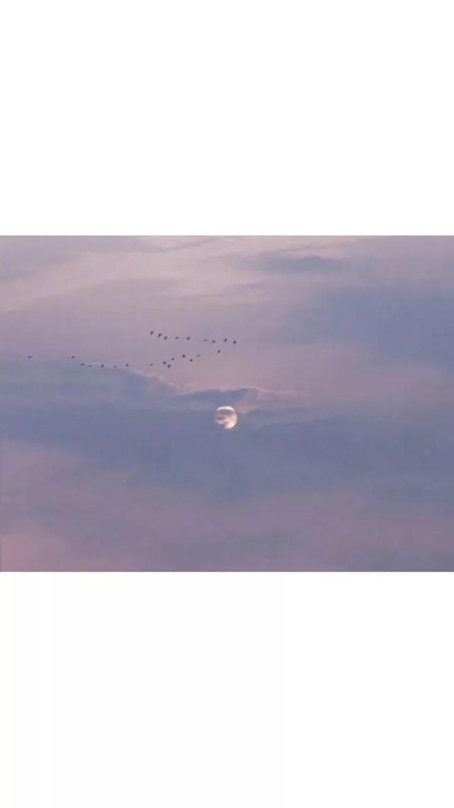 动漫帅哥美女图片，帅哥美女杂图（图王鲨鱼哥第33期33套微信头像加背景图）