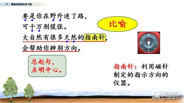 野外辨别方向的方法有哪些，野外辨认方向的6种方法（二年级下册语文17《要是你在野外迷了路》图文详解及同步练习）