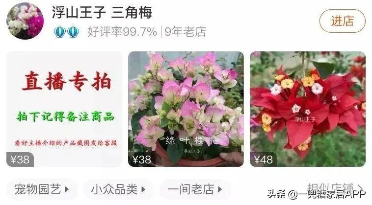 淘宝网花店(淘宝商城花卉市场)