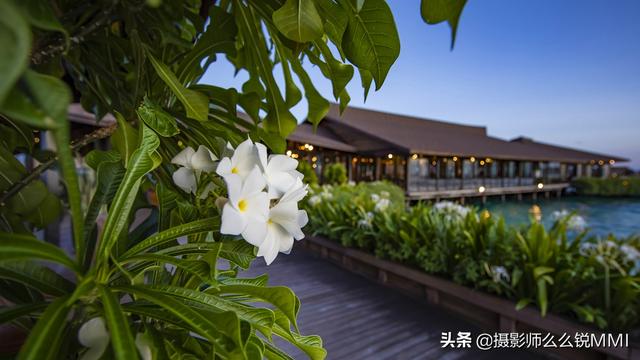 梦幻天堂游戏手机版下载，梦幻天堂经营手游官网最新版下载安装安卓版appv45.0.2（我才明白什么叫做梦幻天堂）