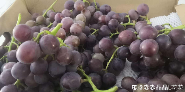 水果种类，水果种类释迦果（秋天吃正是好时候）