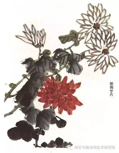花的画法——菊花的画法，菊花是怎么画（菊花画法大全）