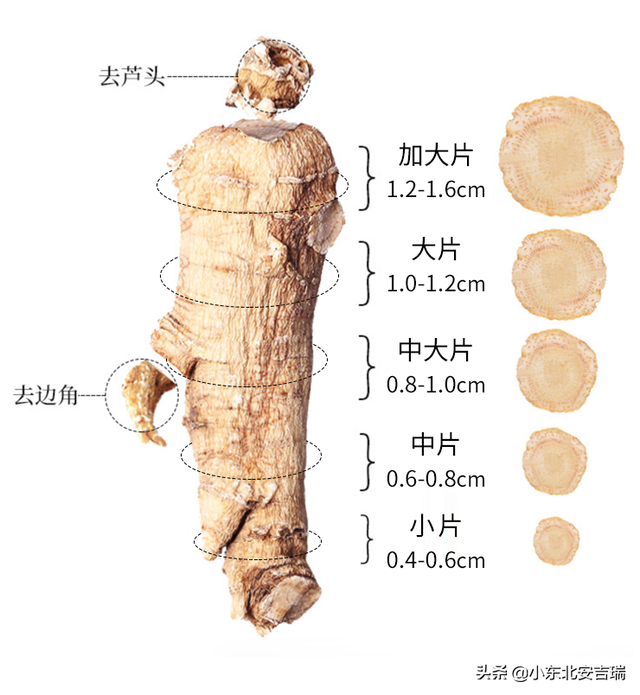 花旗参与西洋参的区别，花旗参与西洋参的区别有哪些呢（它的内幕：软枝与硬枝哪个好）