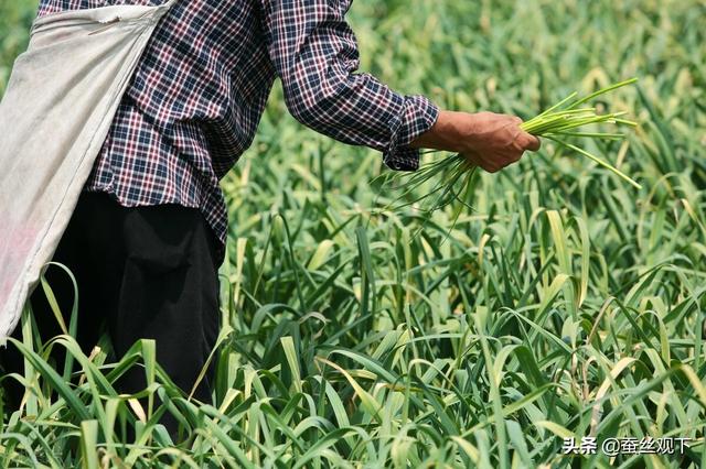 江苏省邳州市属于哪个市，江苏省邳州市属于哪个市-（中国百强县<县级市>）