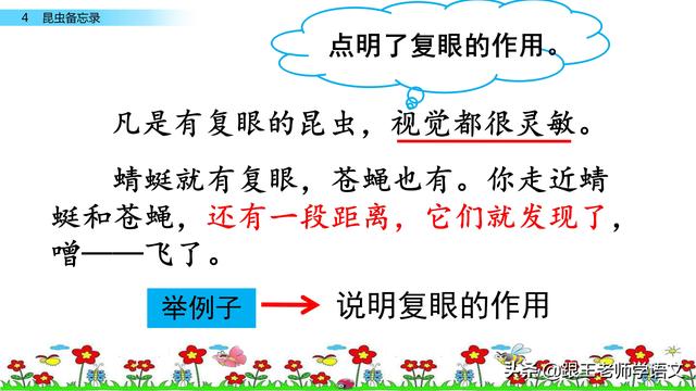 昆虫备忘录资料，部编语文三年级下册课文4、昆虫备忘录