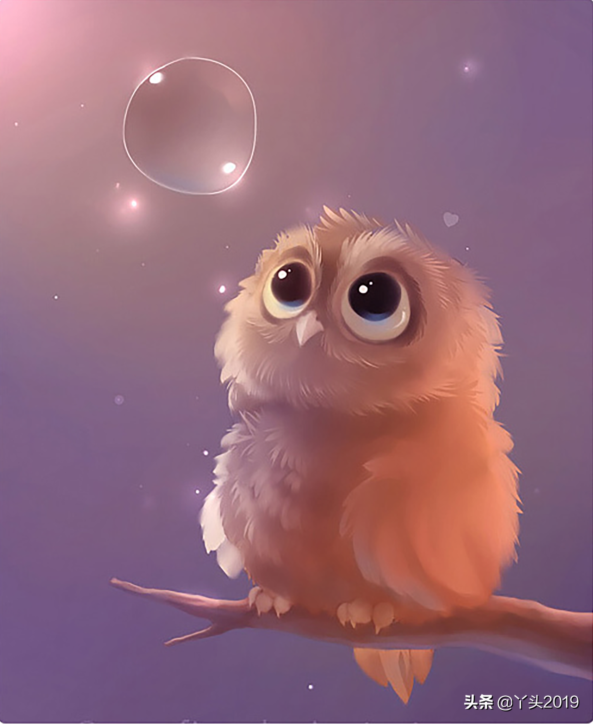 分享一组唯美梦幻小动物壁纸,可爱的小动物内心都有一个主人