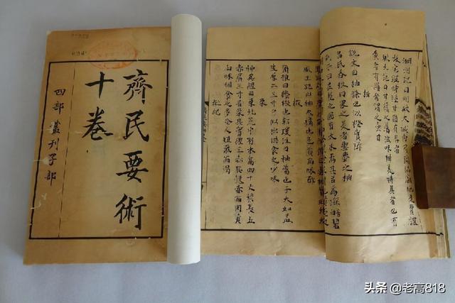 锄组词语有哪些，锄组词语（到底锄的是草还是谷）