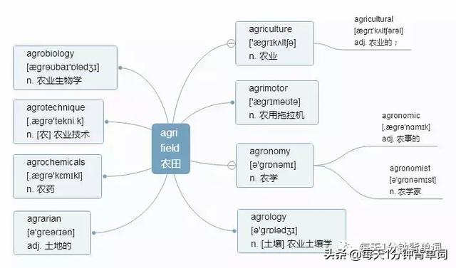 technique的解释及technique的例句，technique意思中文翻译（每天1分钟背单词）