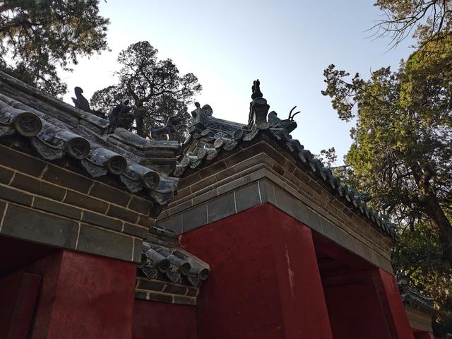 孔子的老家在哪里，孔子的家在哪里（孔子故里 东方圣城—曲阜）